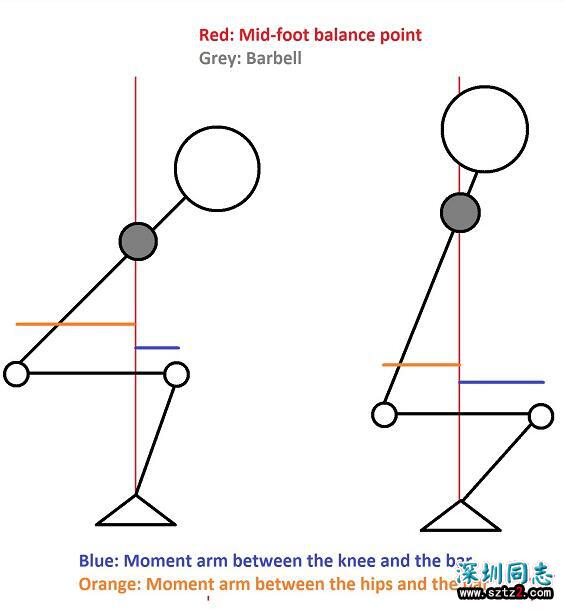 健身知识：深蹲动作的杠杆系统