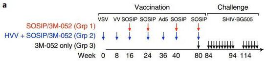 67%预防有效，新型抗艾滋疫苗取得重要进展