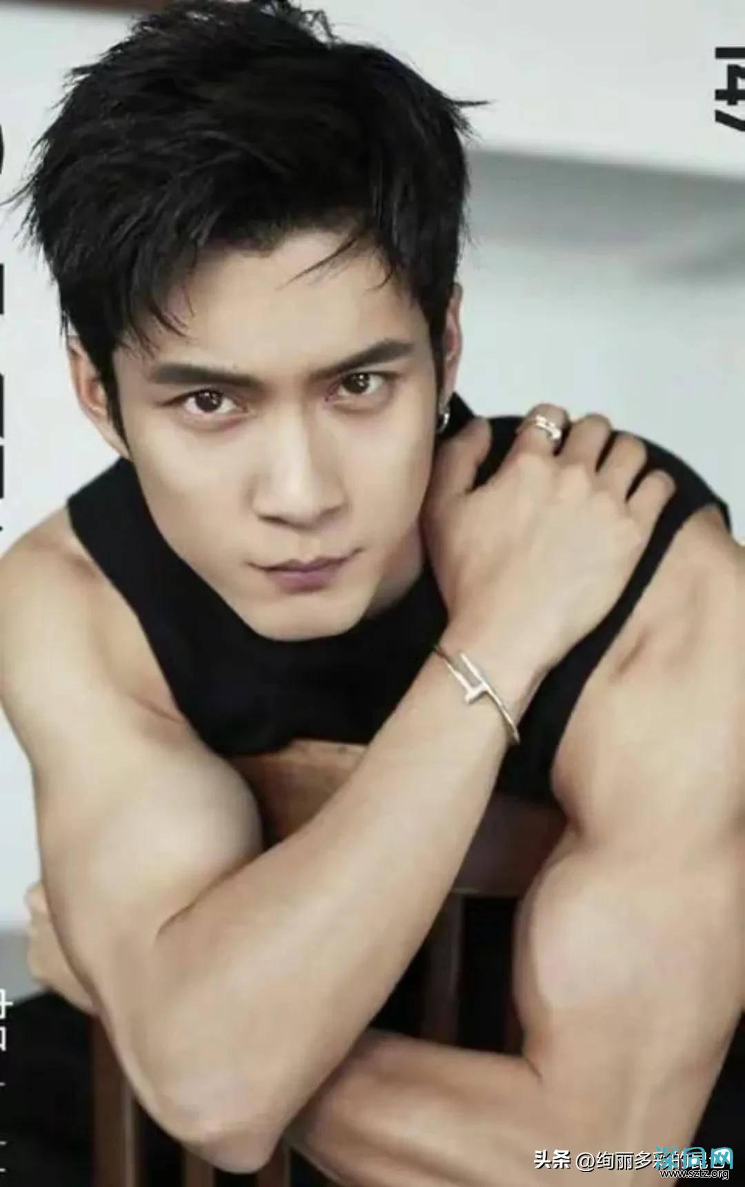 各省知名帅哥，江苏帅，北京正，河南酷，安徽俊，湖北秀东北多