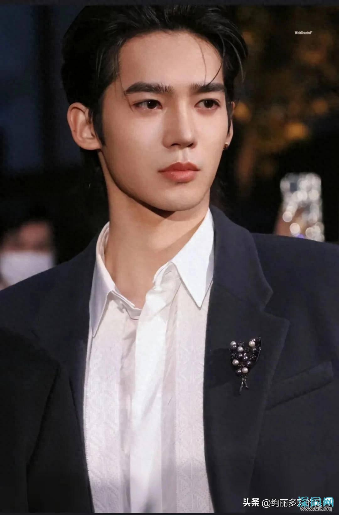 各省知名帅哥，江苏帅，北京正，河南酷，安徽俊，湖北秀东北多